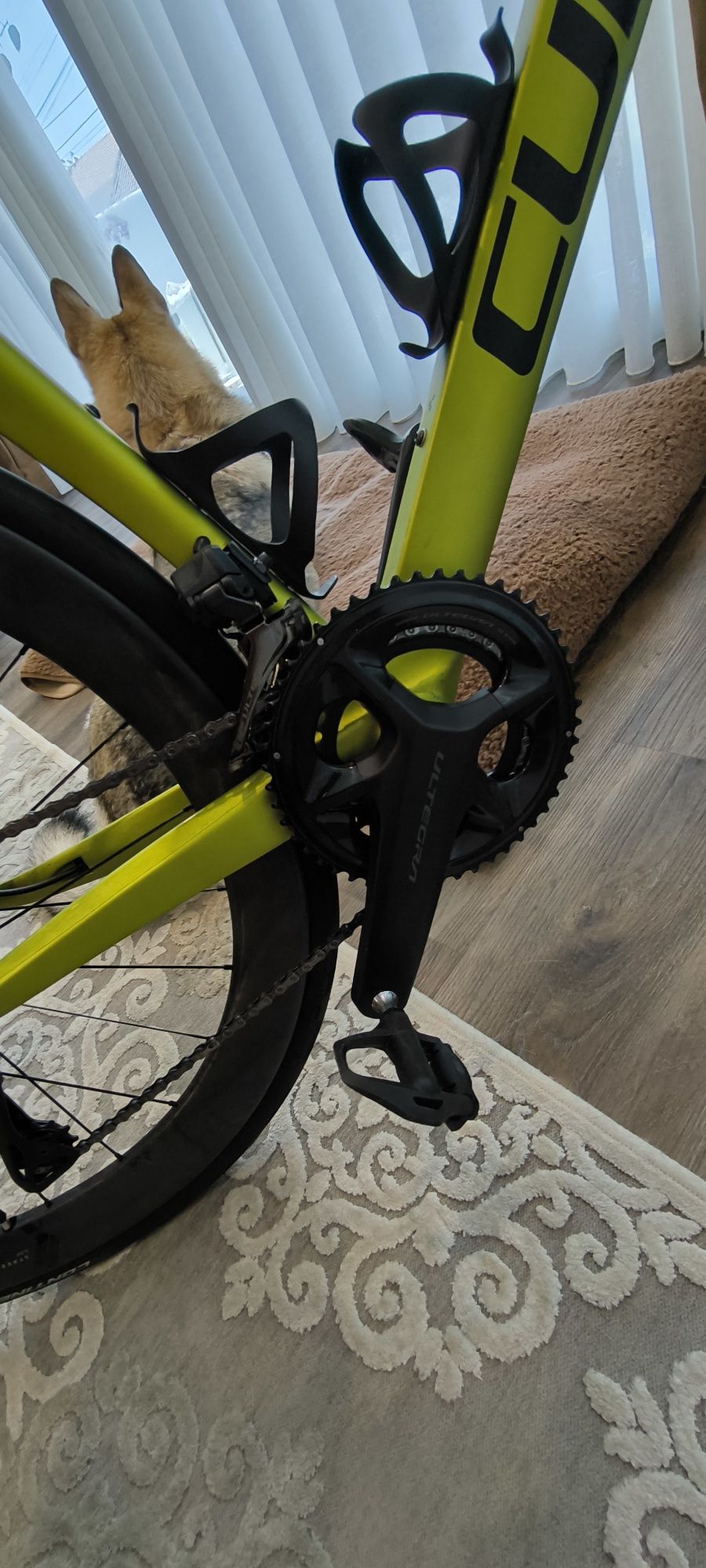Cube Agree C:62 Race [58] Shimano Ultegra Di2 12S 700 mm -  2025