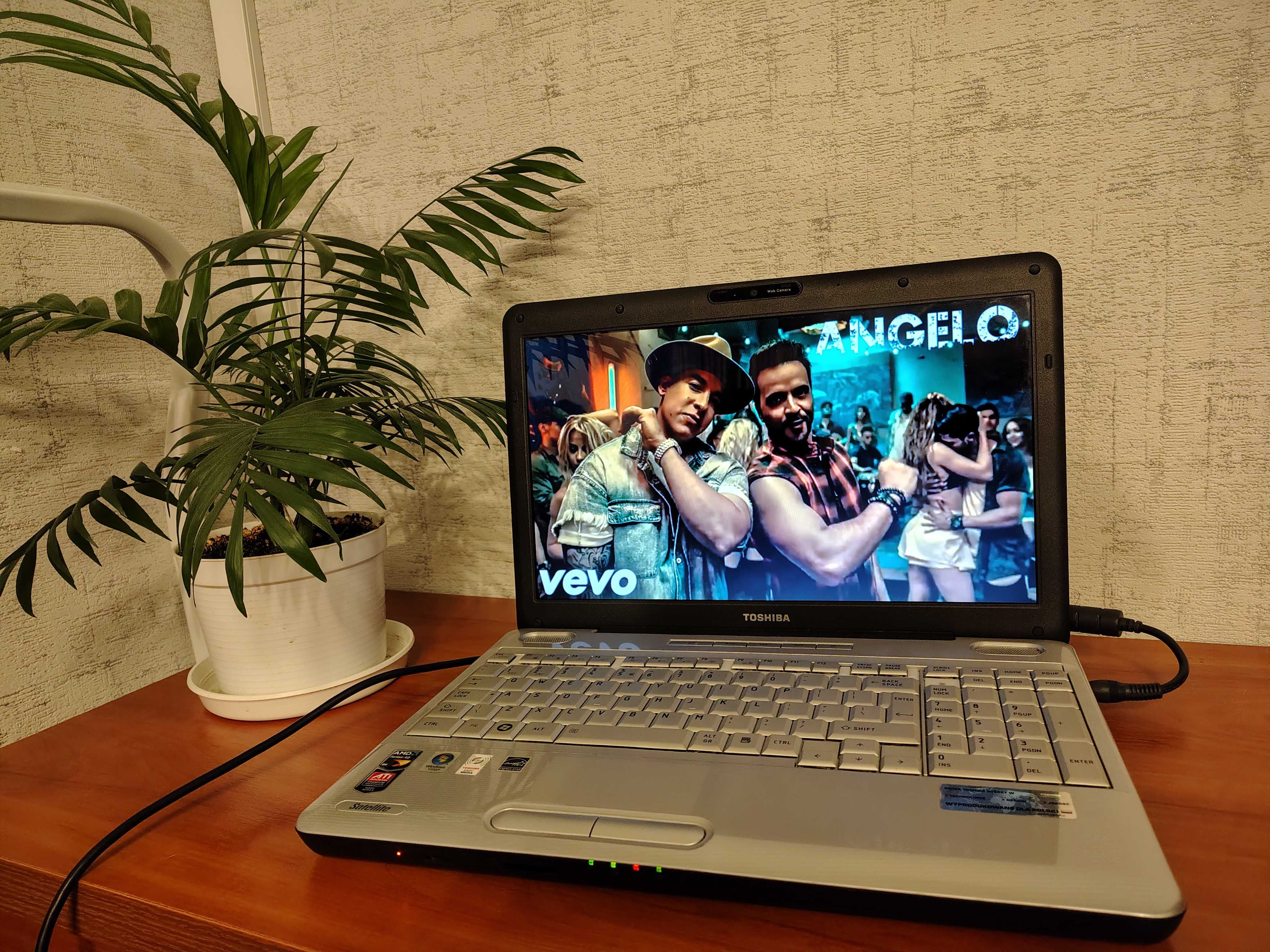 TOSHIBA Satellite L500D