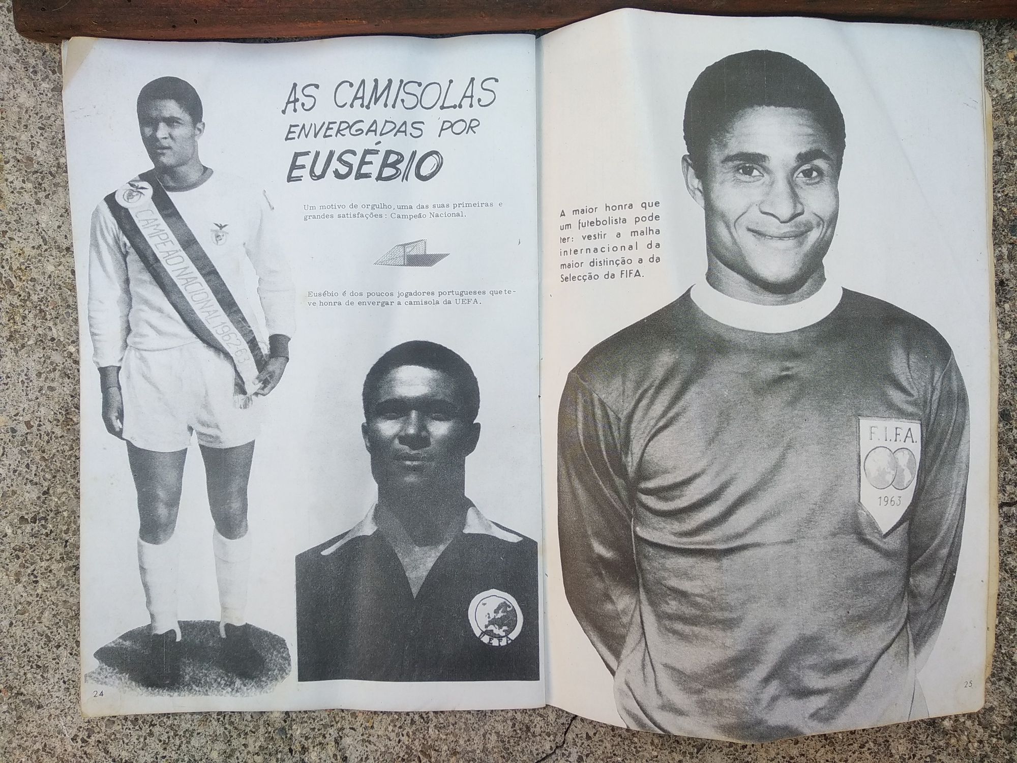 Quadro do Benfica antigo anão 60 e livro antigo sobre Eusébio