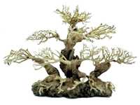PROGROW Bonsai Tree drzewko bonsai BT3L 40X15X30CM
