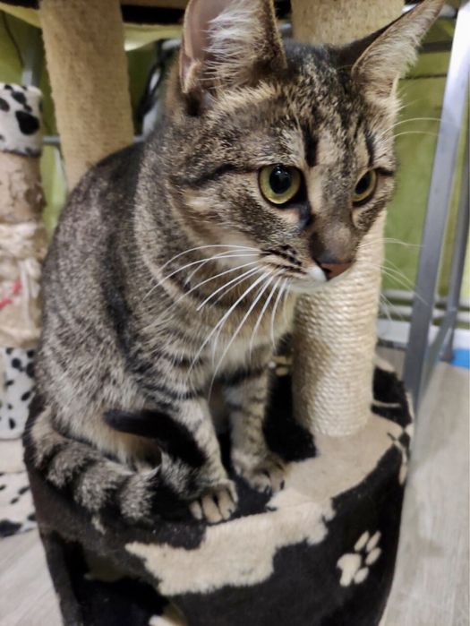 Дуже чекаю на тебе!