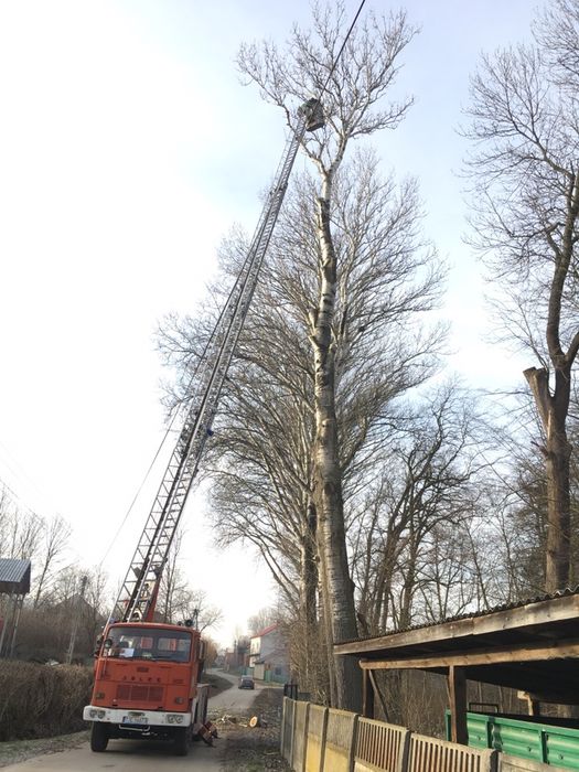 DACHY Wycinka drzew zwyżka 32 m podnośnik koszowy rębak koparka