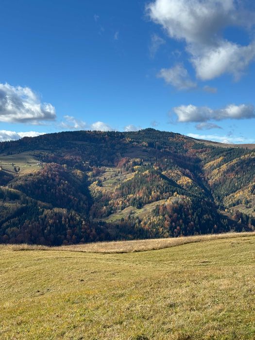 Продаж ділянки, Верхній Ясенів, 100 сот.гори (під будівництво).Є ВІДЕО