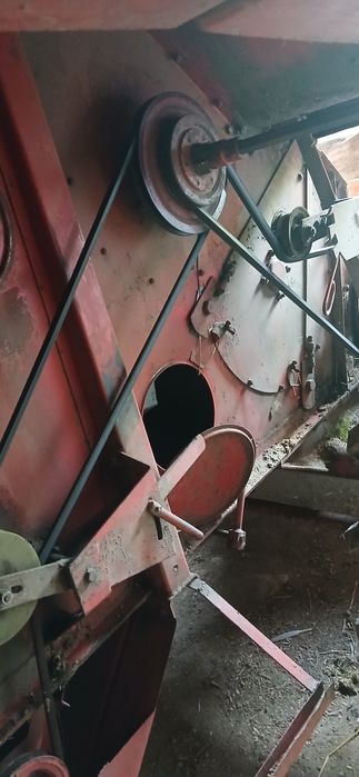 Моісей Фергюсон 187