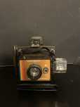 Aparat Polaroid colour swinger II