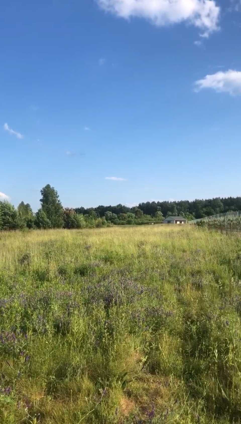 Sprzedam 2 działki pod Kazimierzem Dolnym- zabudowa jednorodzinna