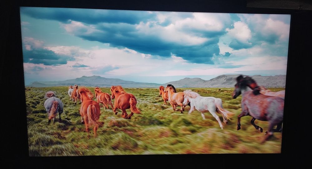 Телевізор  LG  43", SmartTV,  YouTube