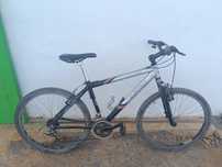 Bicicleta adulto