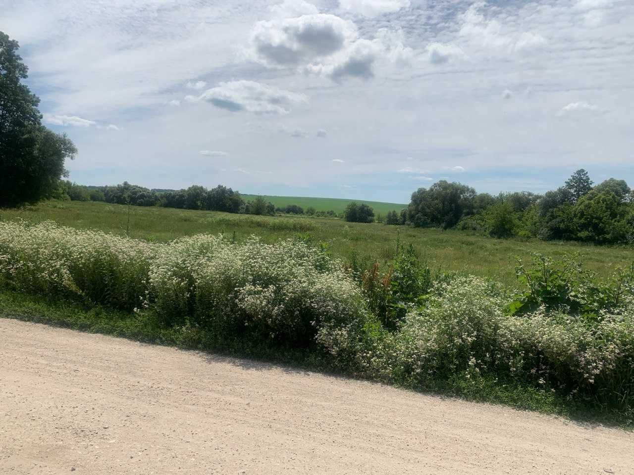 рівна земельна ділянказ гарним заїздом