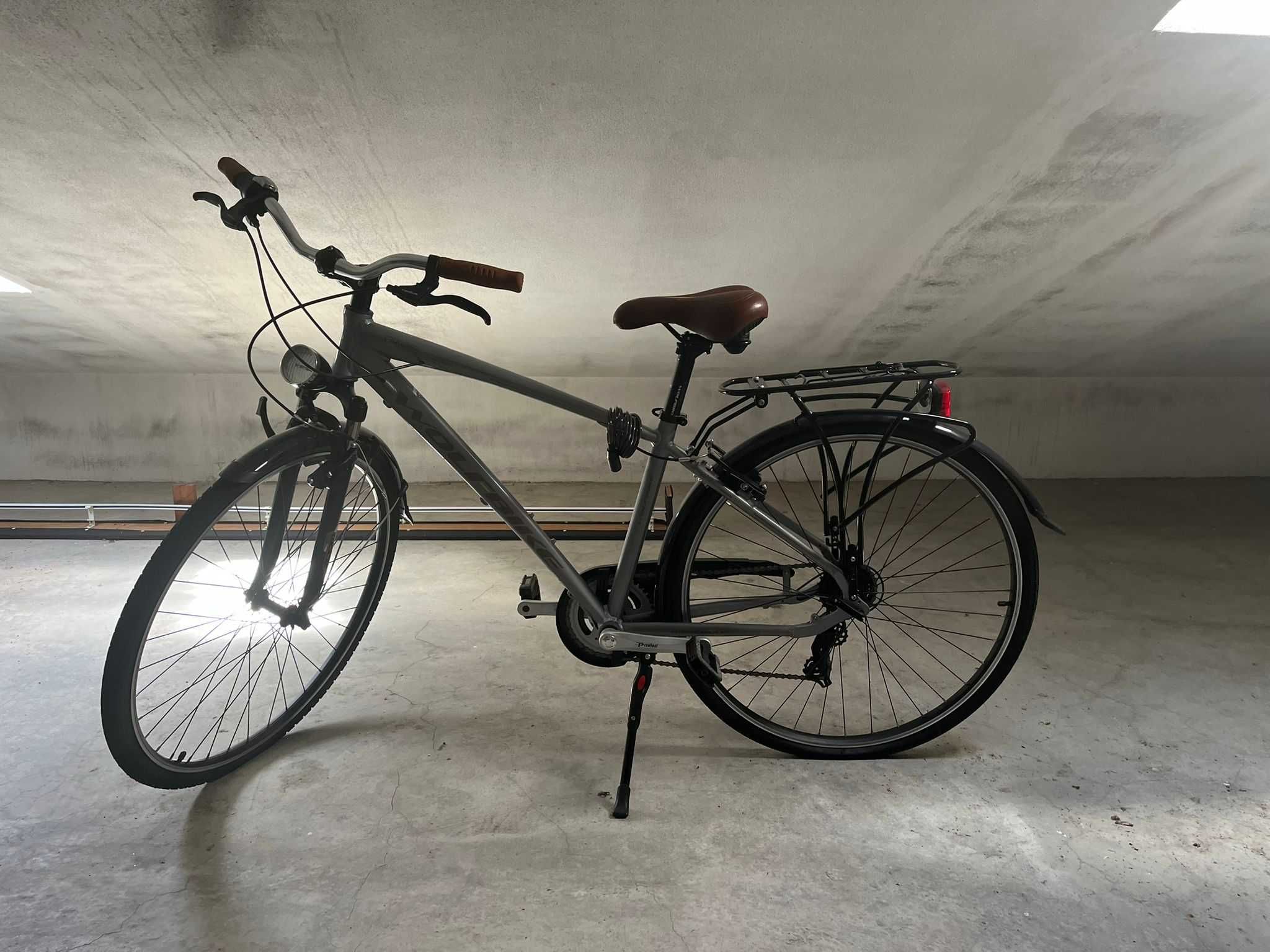 Bicicleta Adulto