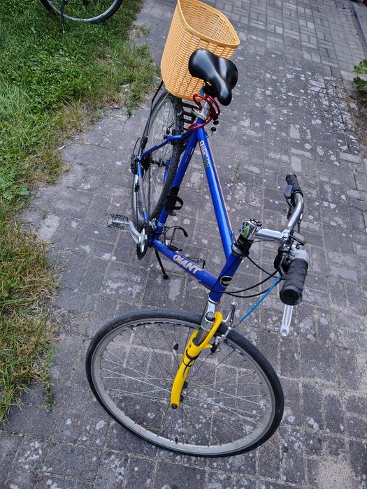 giant 28" rama stalowa