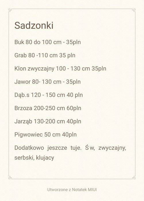 Tuja Szmaragd 50-60cm. Donica 2L Paszport.