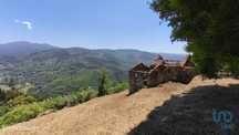 Terreno para construção em Santa Ovaia e Vila Pouca da Beira de 12220,