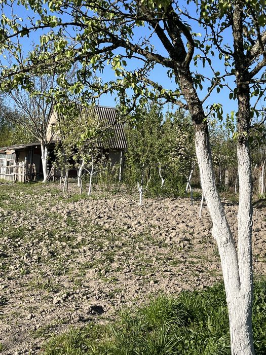 Продам дачну ділянку