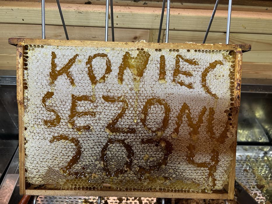 MIÓD LEŚNY z własnej pasieki naturalny orginał