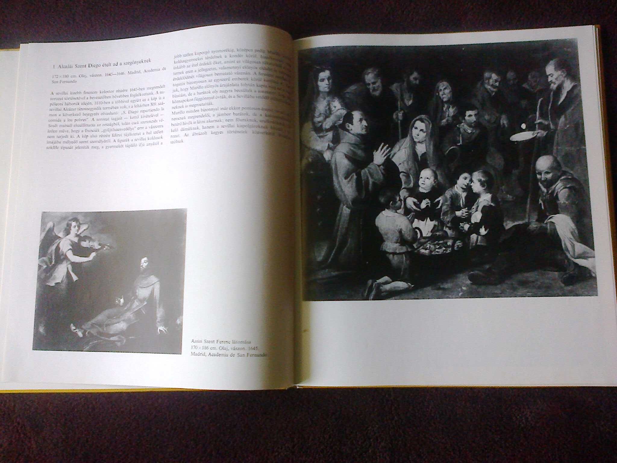 Книга на венгерском Murillo
