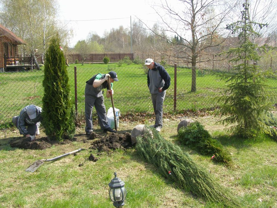 Usługi ogrodnicze, trawniki, nawadnianie, rośliny, roboty ziemne