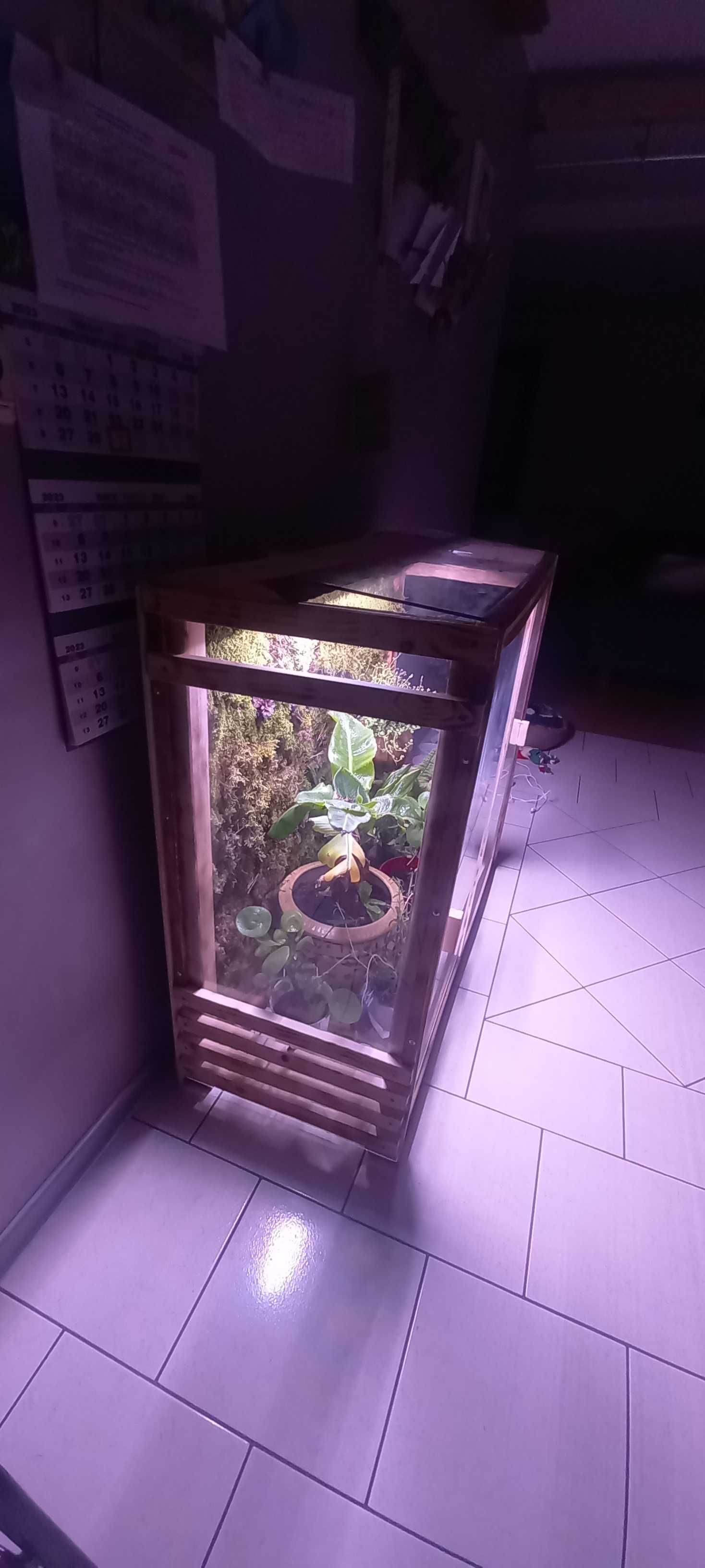 Terarium na wymiar kameleon gekon agama