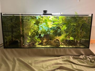 Akwarium 450 litrów/terrarium