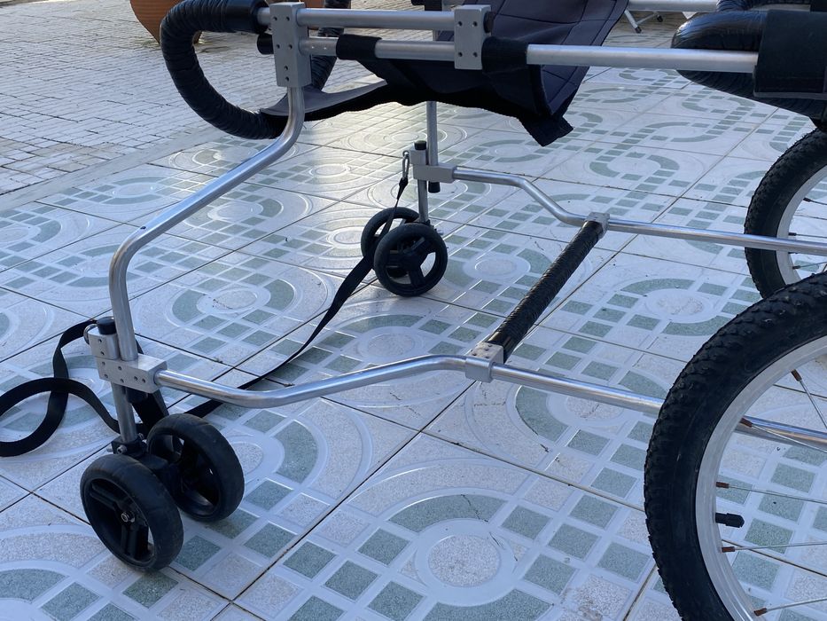 Cadeira de rodas para cão grande