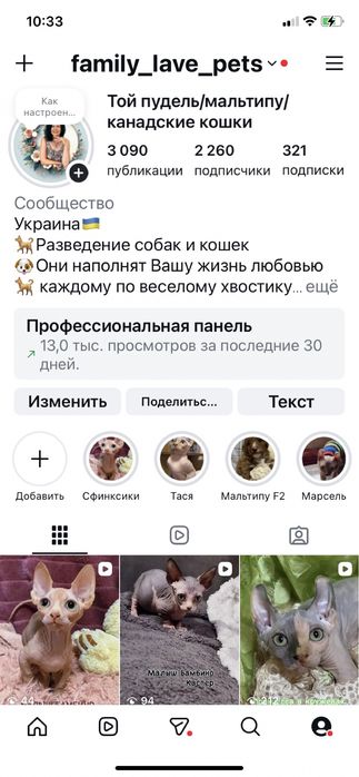 Канадочки девочки под бронь