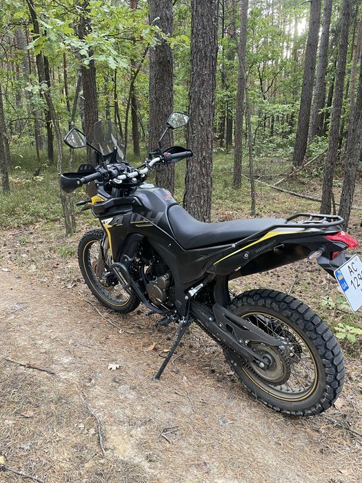 Voge rally pro 300 Black Knight