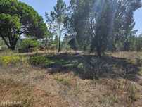 Lote de Terreno em Localização Privilegiada!
