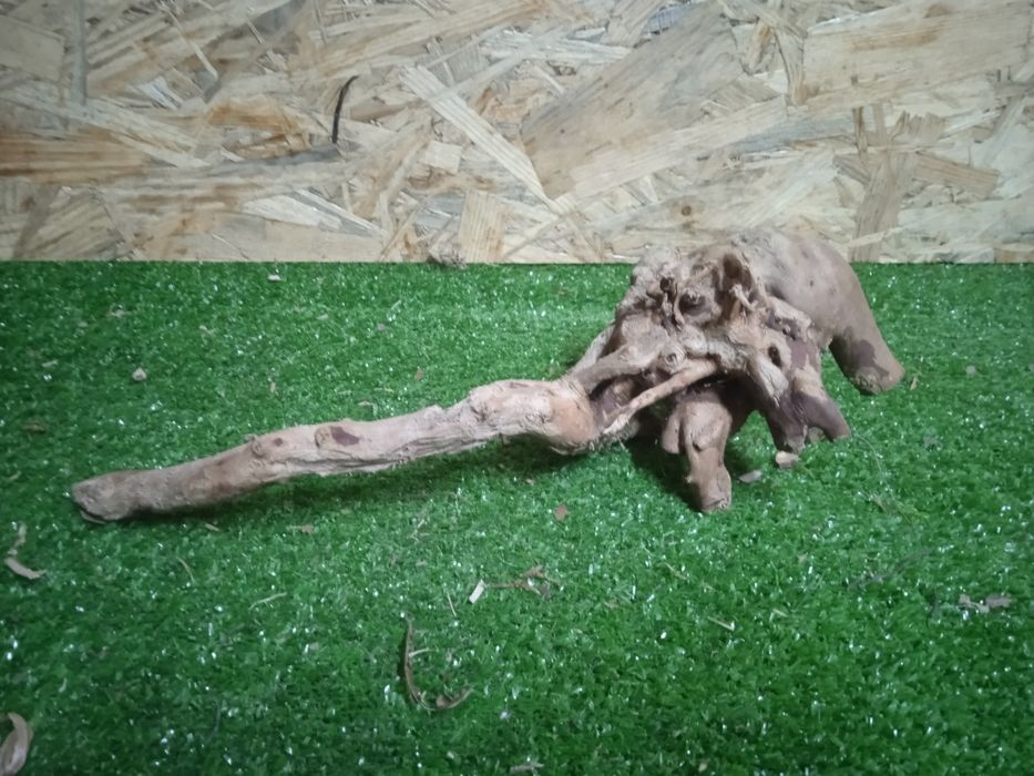 Korzeń do akwarium Red Moore Wood nr 749 o wymiarach 30/10/10