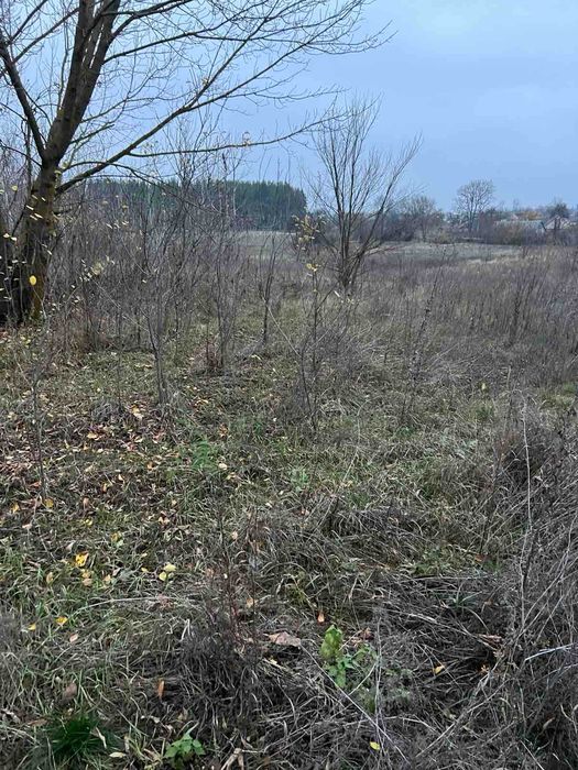 Пропоную до продажу будинок в с. Мошни