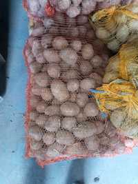 Ziemniaki denar jadalne wielkość sadzeniak