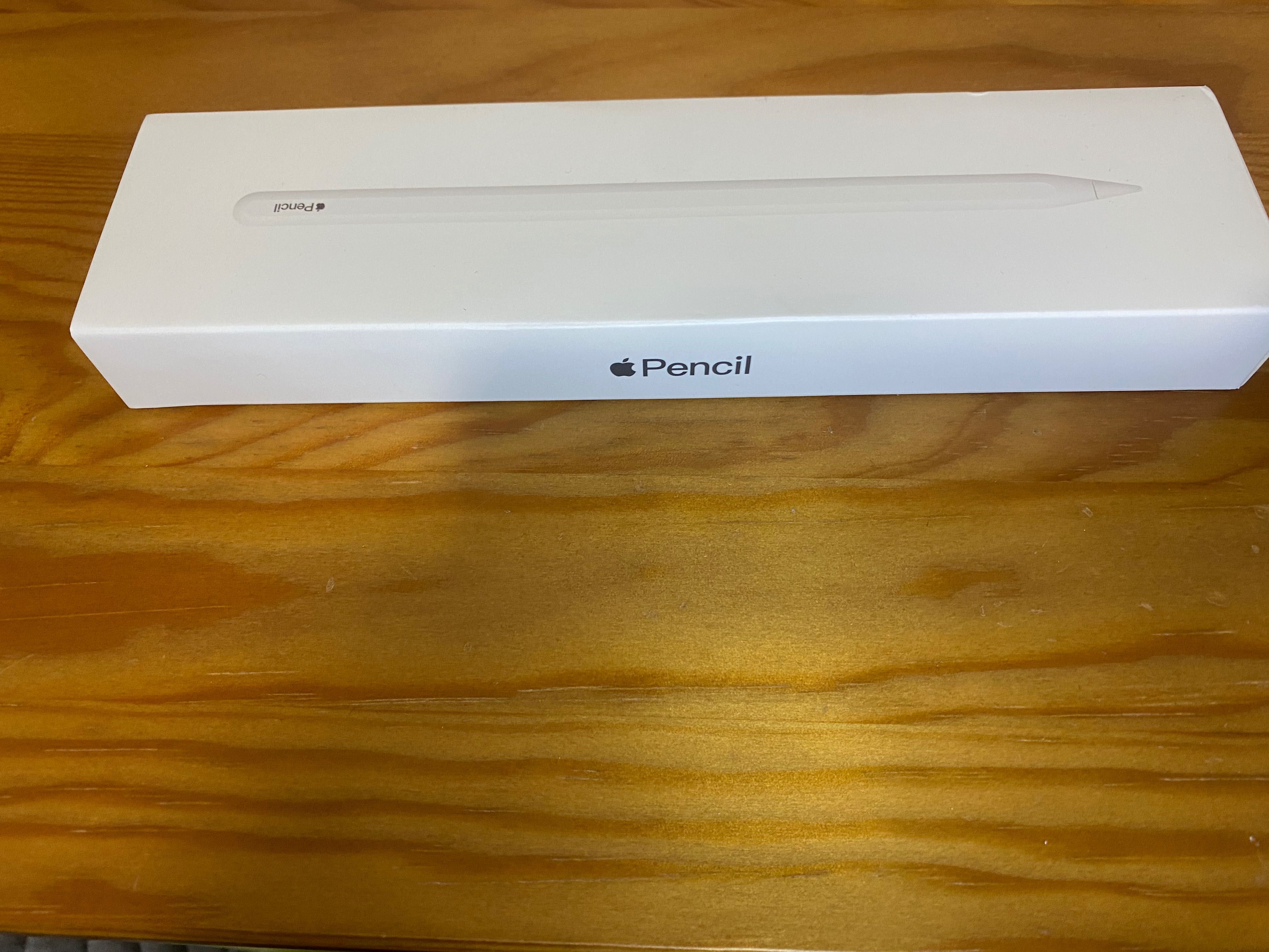 Apple Pencil 2.ª geração