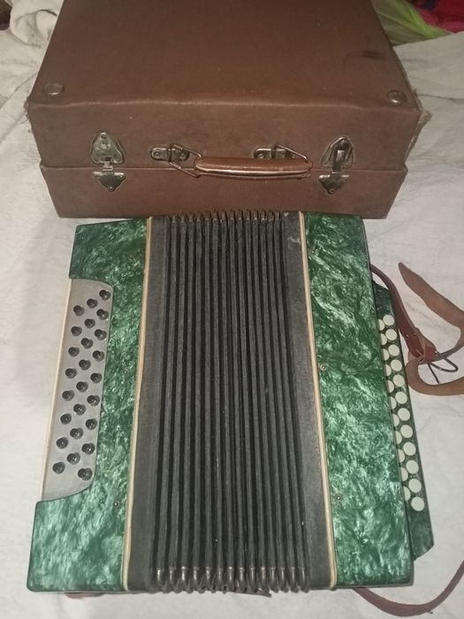 Гармонь + футляр Маричка