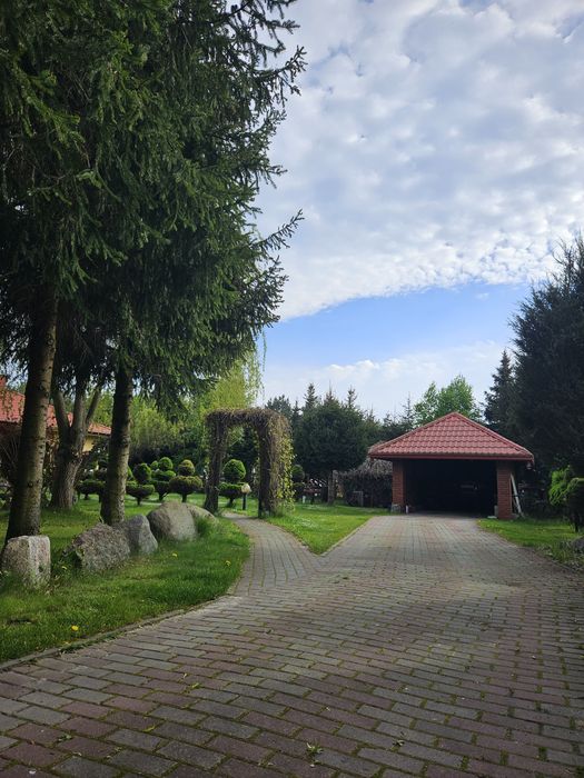 Wynajme dom Czarnówka/Glinianka