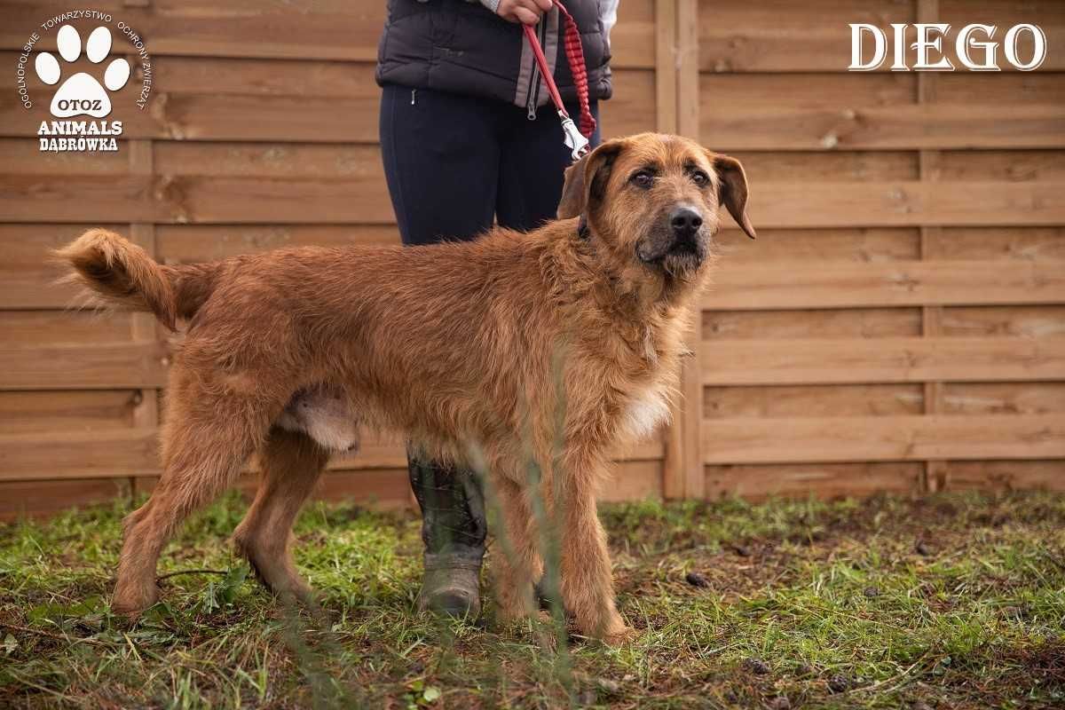 Dla Diego, każdy dzień spędzony z Tobą, będzie jego ulubionym.