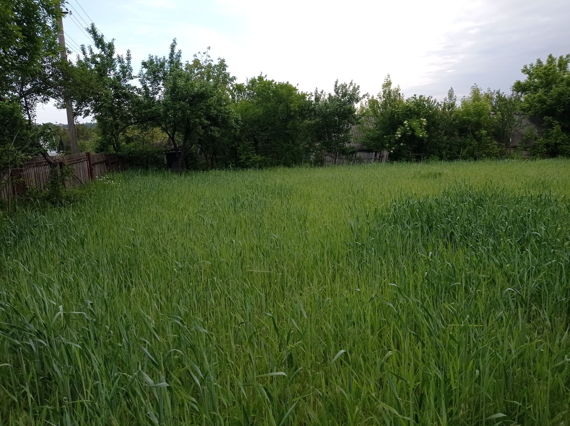 Продаю половину хати з присадибною ділянкою в Кам'янка Черкаської обл