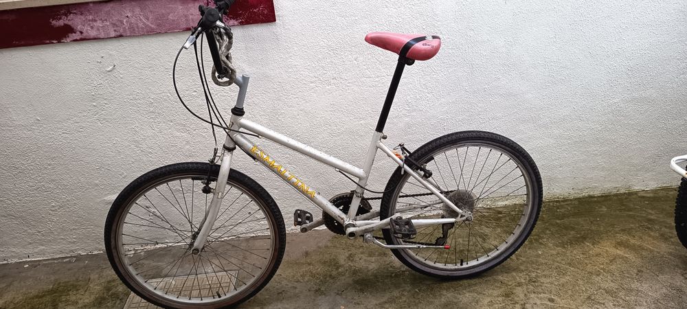 Vendo 3 bicicletas... Aro 20" , 24" e 26