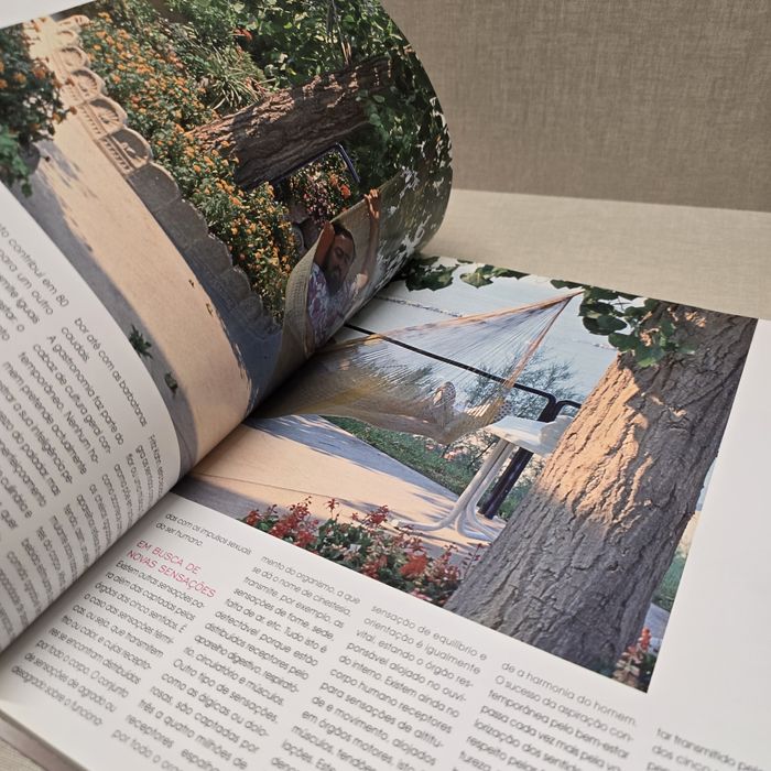 O Livro do bem-estar de Rosa Lobato Faria