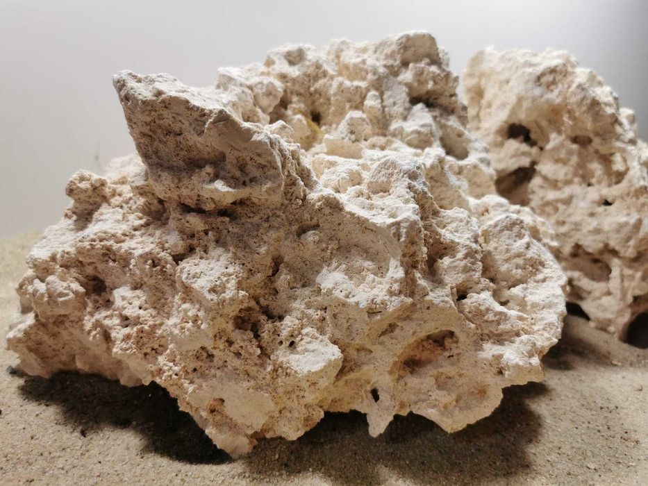 Sucha skała do akwarium morskiego Marco Rock Sklep Akwa. Turkusowe Zoo