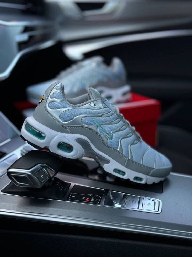 Кросівки Nike Air Max Plus Silver Sky