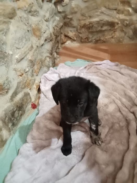 l.Cahorros para dar.