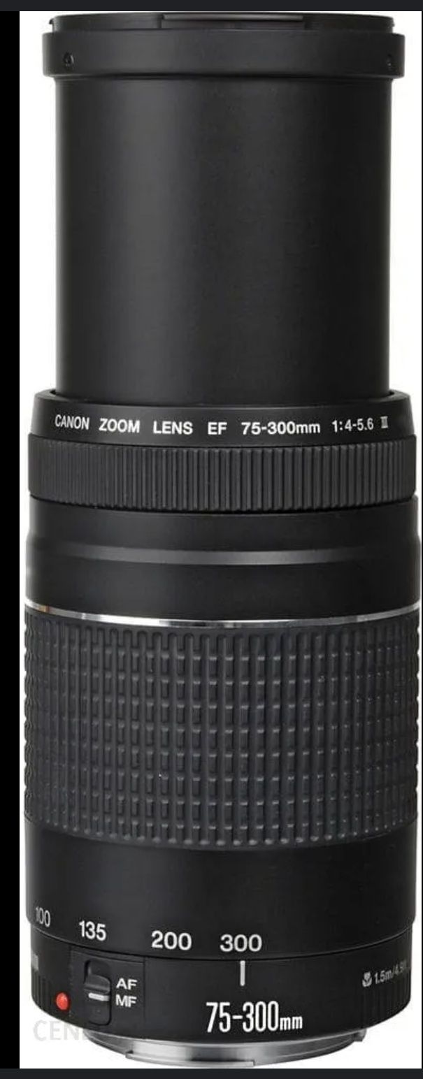 Obiektyw CANON EF 75-300 mm f/4.0-5.6 III