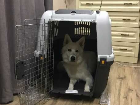 Транспортировочный бокс переноска клетка для собак кошек №1,2,3,4,5,67