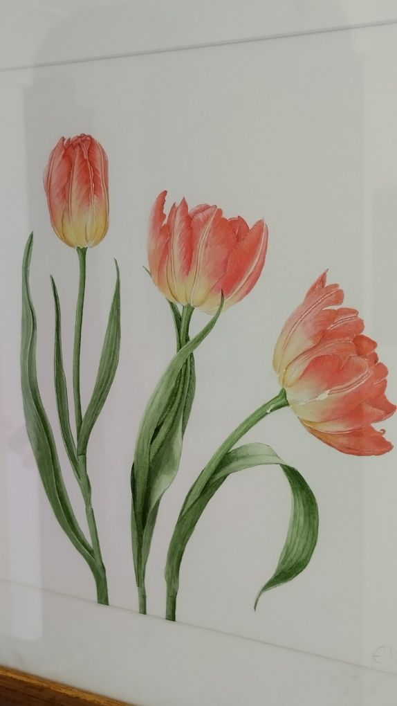 Quadro ' Tulipas