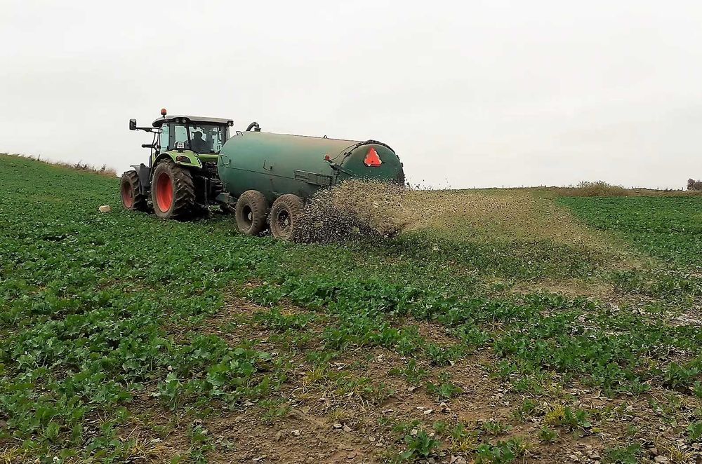 AMU preparat do gnojowicy ORYGINALNY,na kożuch i zapach od importera!