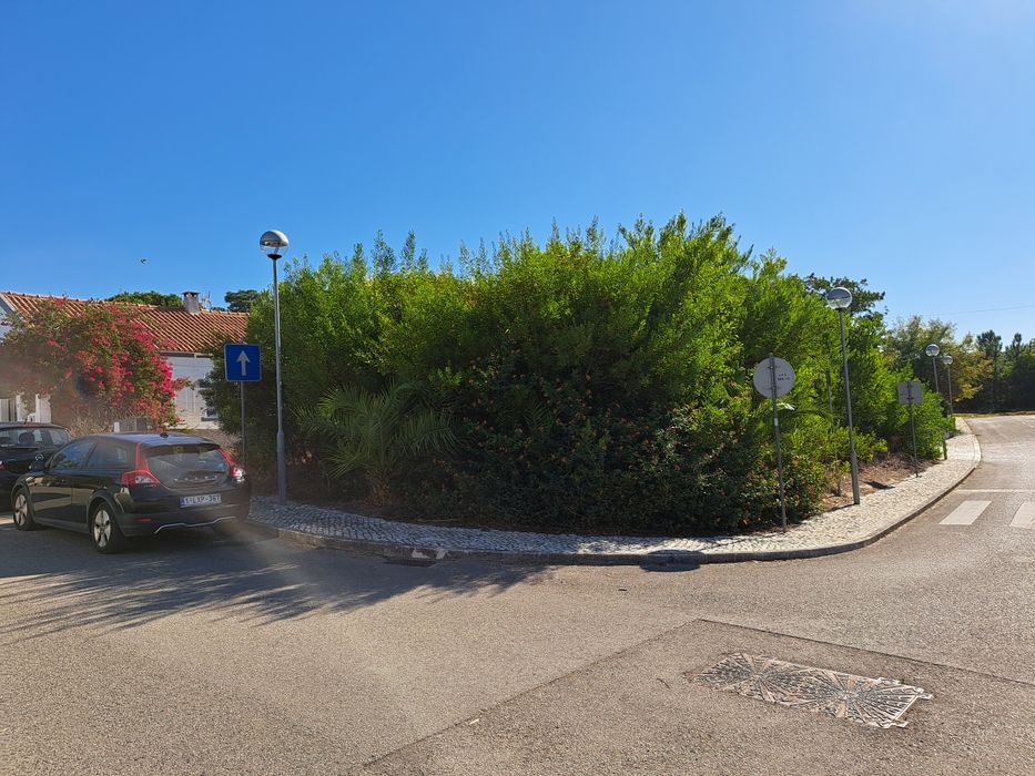 Limpeza de terrenos jardins vedações