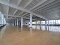 1200m2 do wynajęcia. Możliwość podzialu