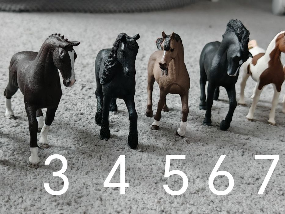 ### Koń konie Schleich zestaw/na sztuki