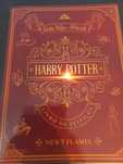 Livro de feitiços Harry Potter