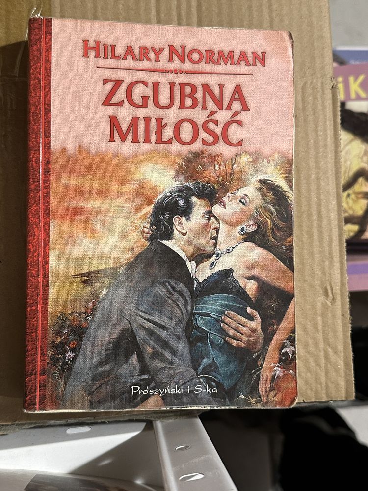zgubna miłość - hilary norman