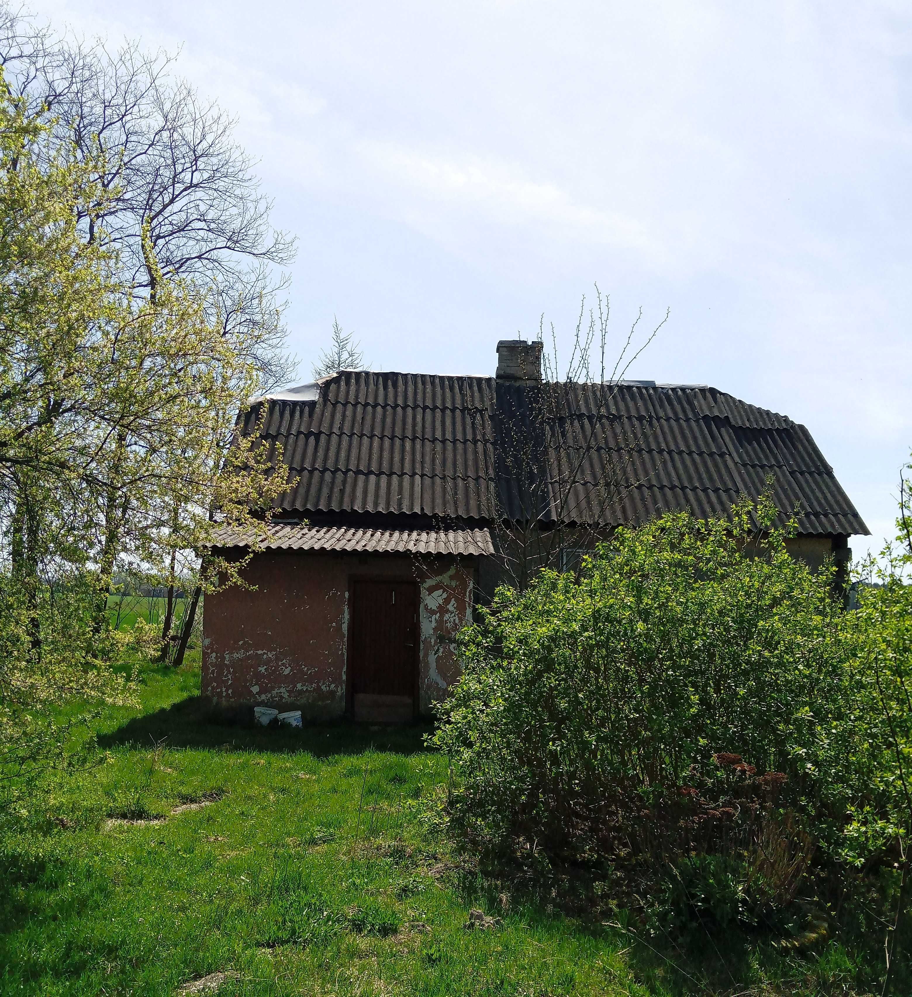 Działka siedliskowa